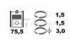 VW 047198151A Piston Ring Kit